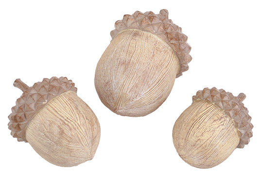Carved Acorns