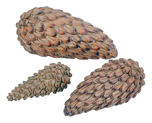Sierra Pinecone
