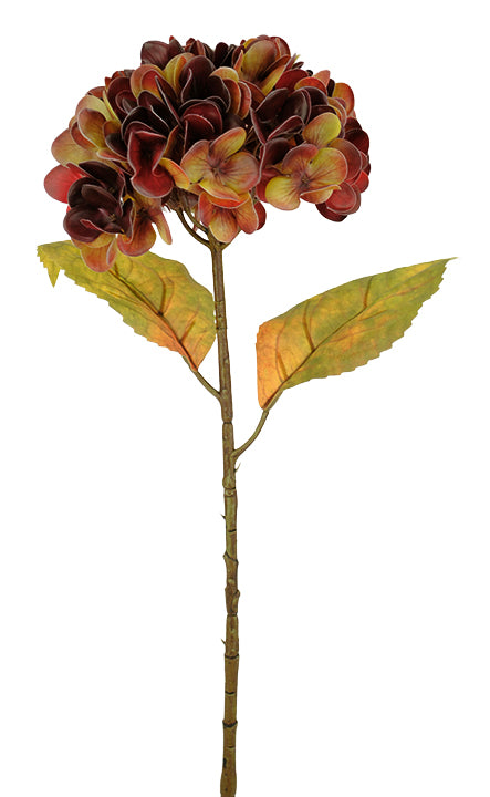 Real Feel Hydrangea