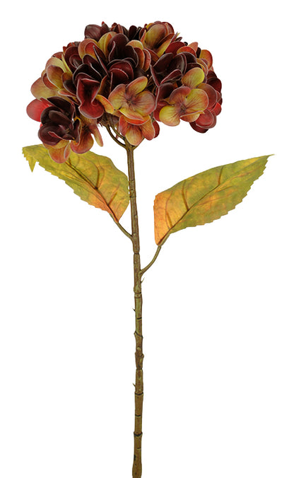 Real Feel Hydrangea