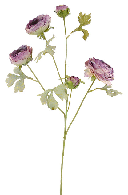 Ranuculus Spray