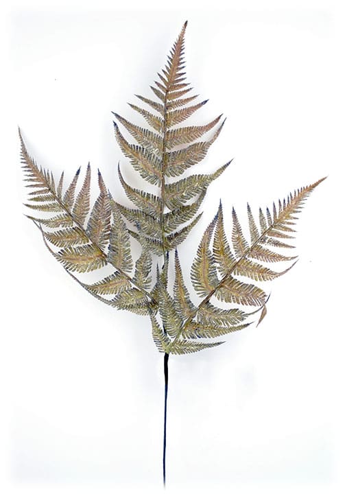 Autumn Fern Spray
