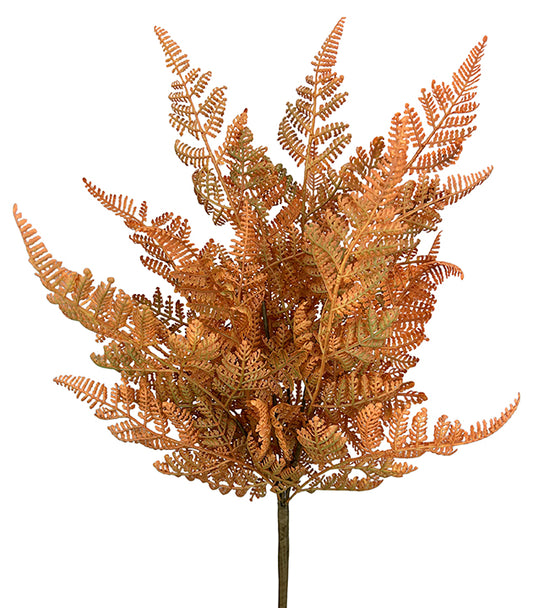 Fall Fern Bush