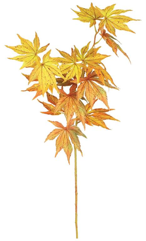 Maple Leaf Spray