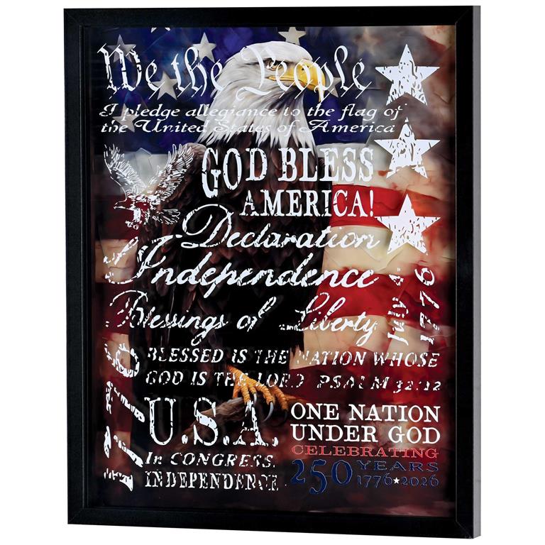 Framed Wall Art We The People