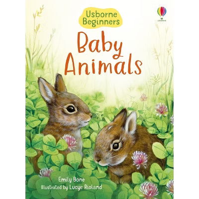 Usborne Beginners
