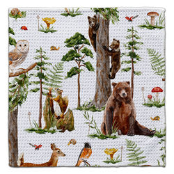 CJ Bella Eco-Friendly Dishcloths