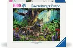 Ravensburger 1000 Piece Puzzles