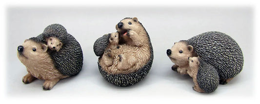 Hedgehog With Baby