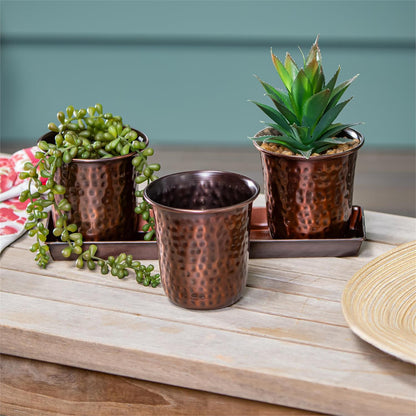 Hammered Metal Planters on Oval Tray