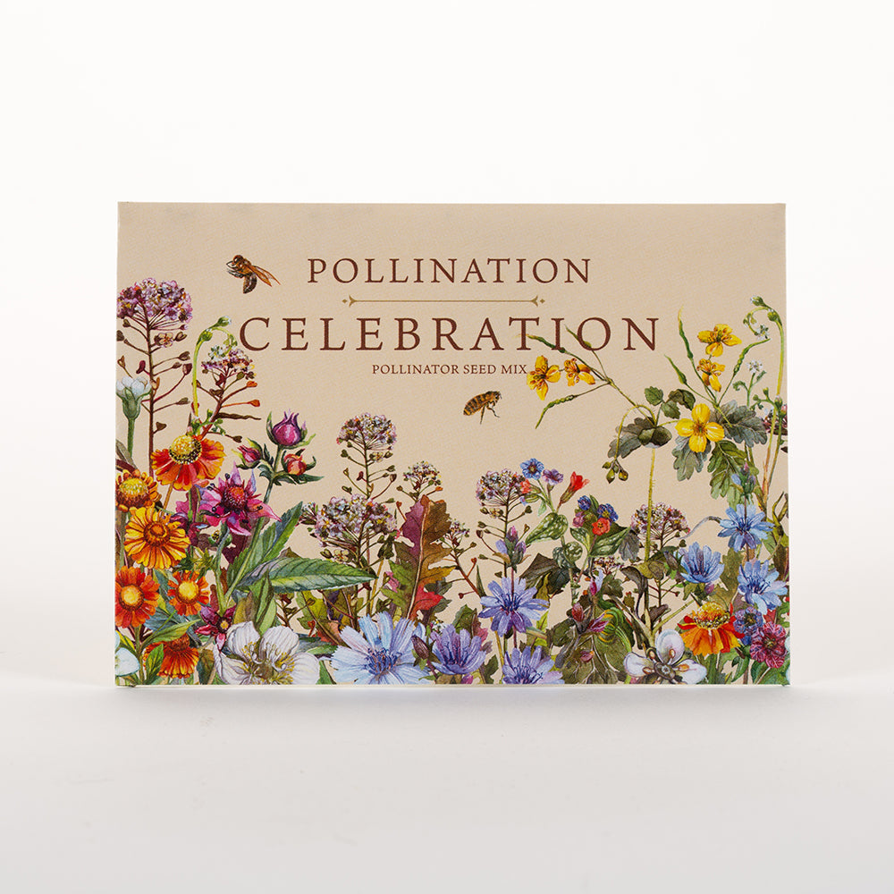 Bentley Pollinator Seeds