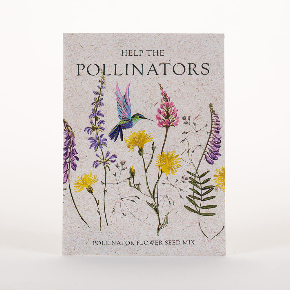 Bentley Pollinator Seeds