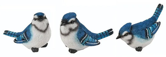Blue Jay Bird Decor