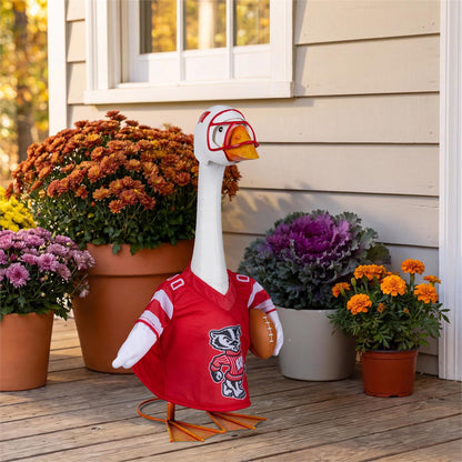 Porch Goose Outfits