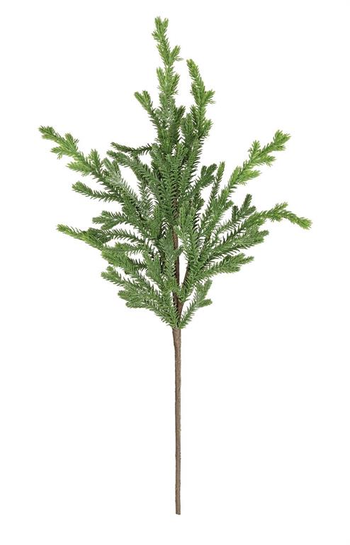 Cedar Pick