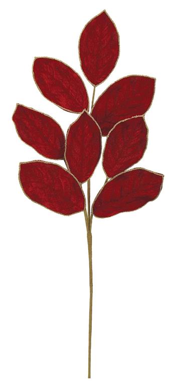 Velvet Magnolia Leaf