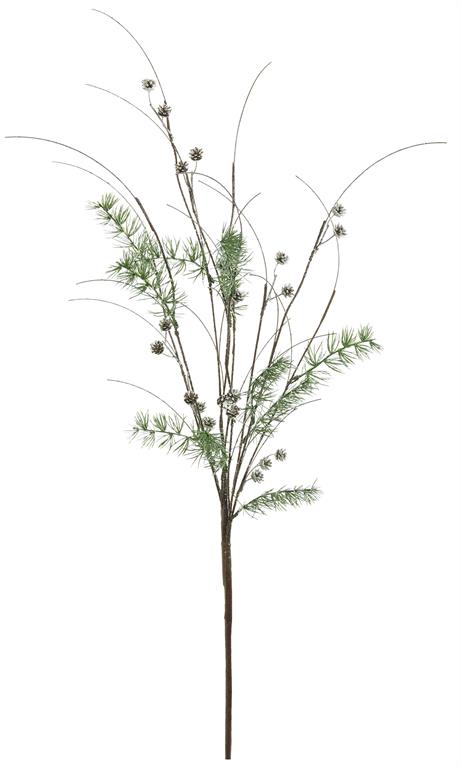 Twig Branch With Pinecones