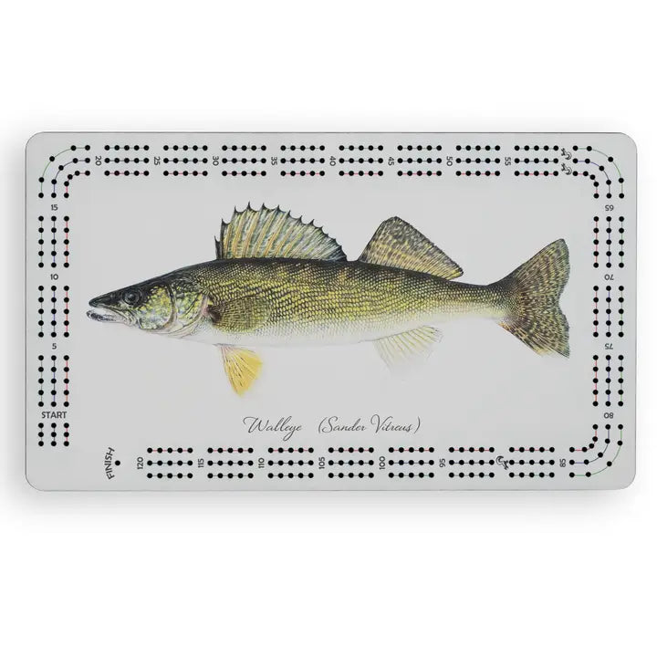 Cribbage Boards
