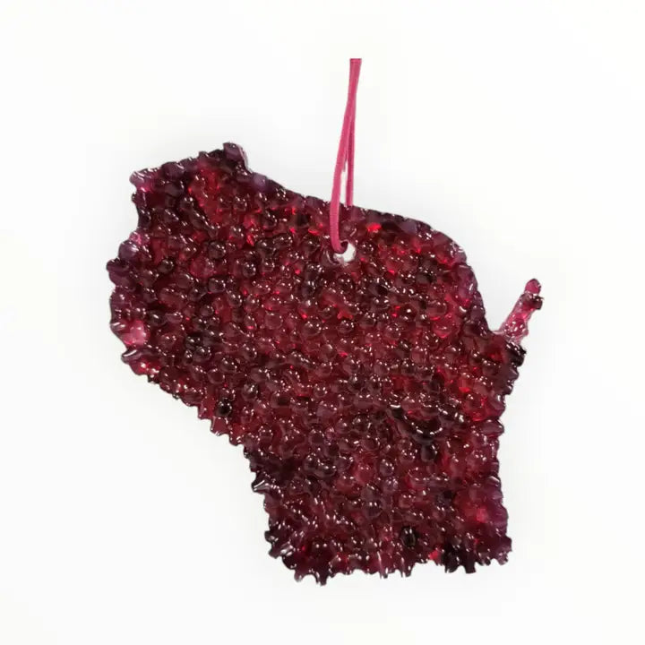 Wisconsin Air Freshener