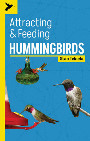 Attracting and Feeding Bird Books