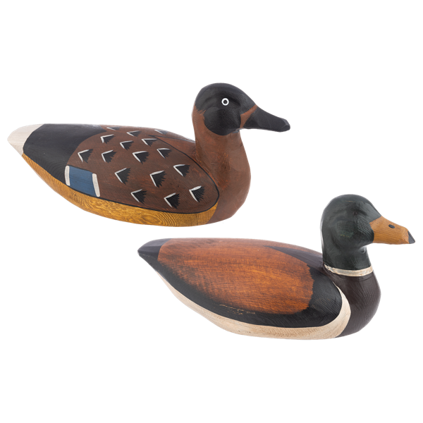Painted Duck Decor