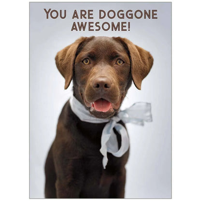 Legacy Greeting Cards