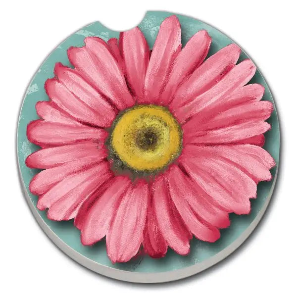Thirstystone Car Coasters