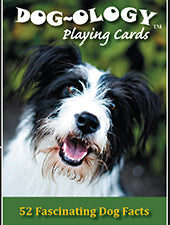 Discover Playing Cards