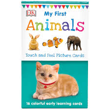 My First Picture Cards