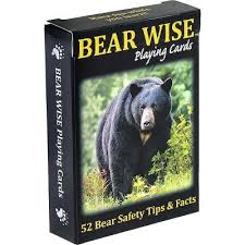 Discover Playing Cards