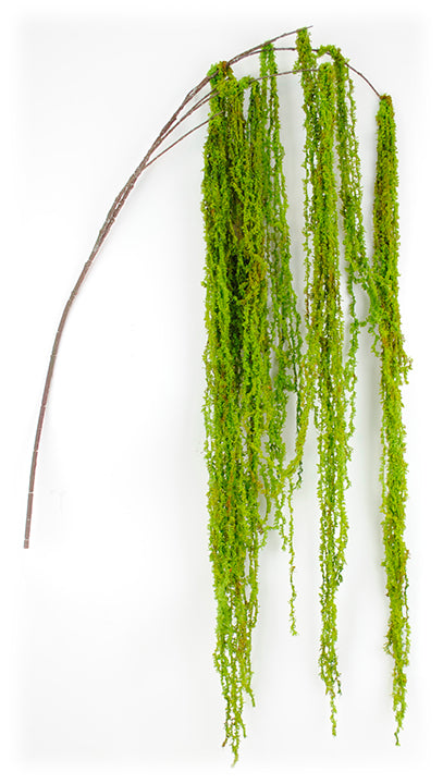 Moss Hanging spray