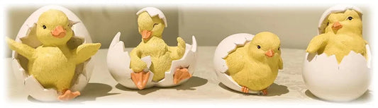 Hatching Chick & Egg