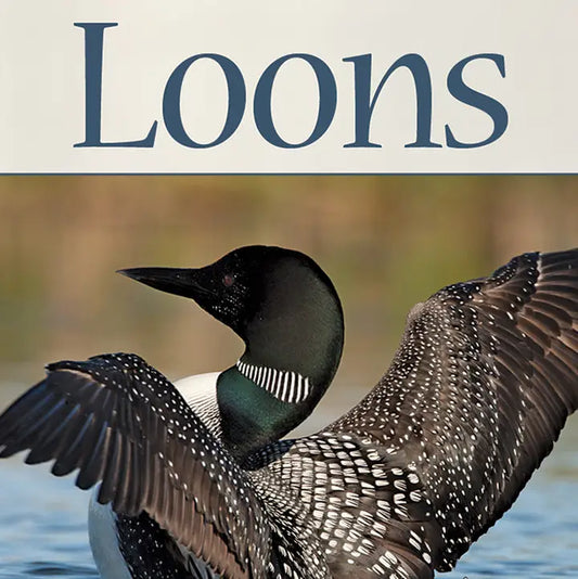 Nature Playing Cards