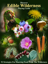 Discover Playing Cards