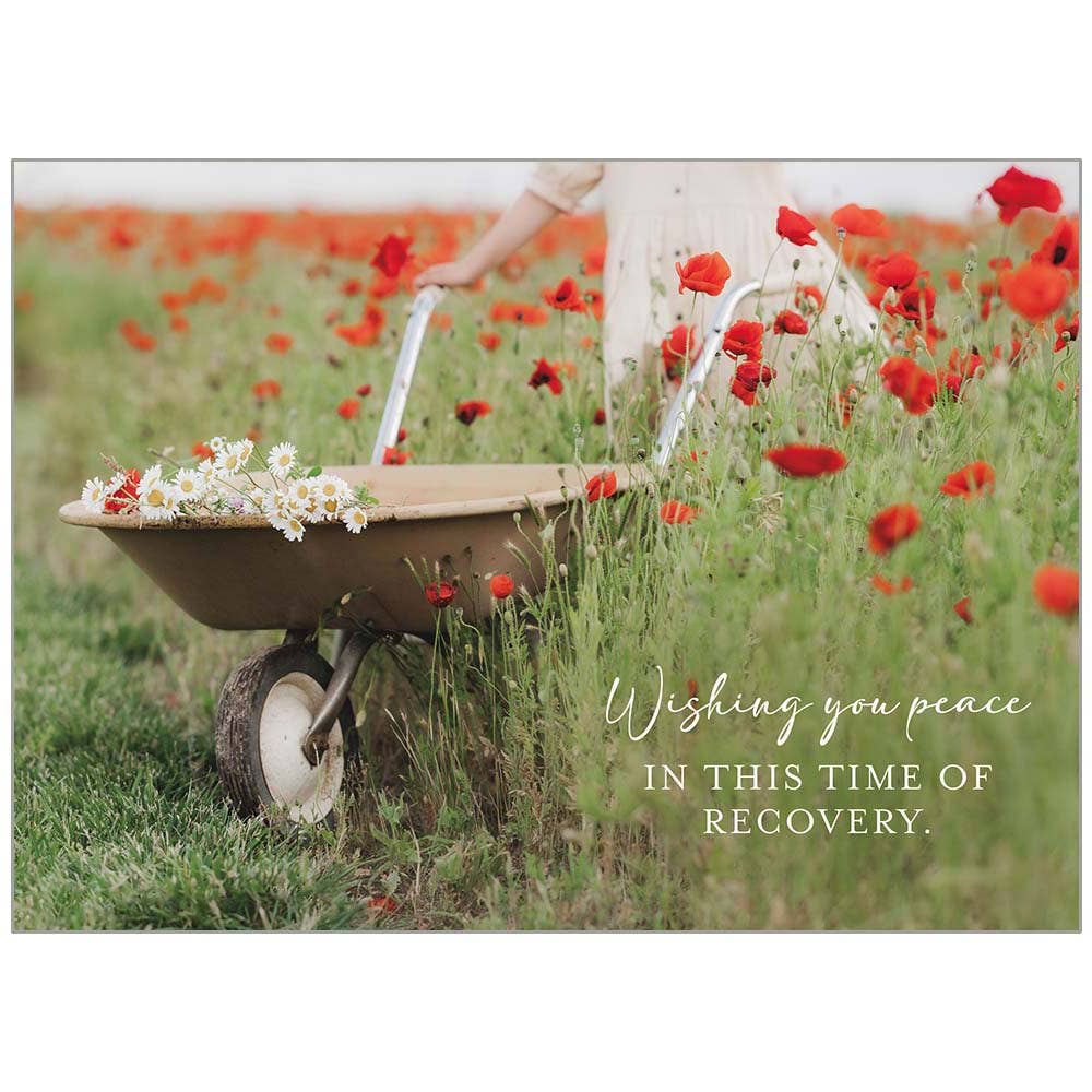 Legacy Greeting Cards