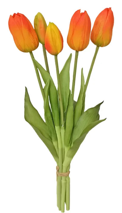 Real Feel Tulip Bundle