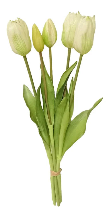 Real Feel Tulip Bundle