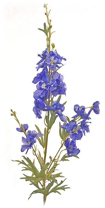 Delphinium Spray