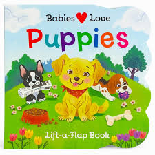 Lift-a-Flap Books