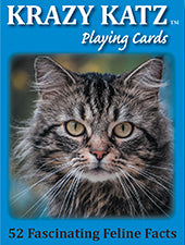 Discover Playing Cards