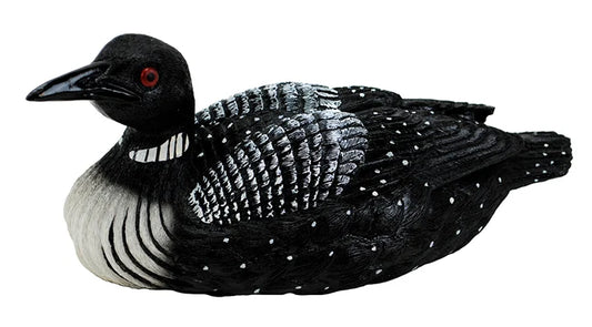 Loon