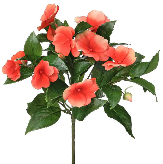 New Guinea Impatiens Plant