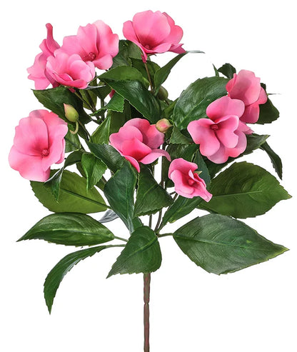 New Guinea Impatiens Plant