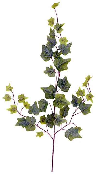 Frost English Ivy Spray