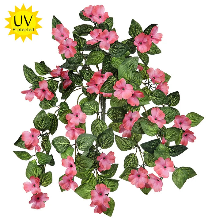 Hanging Impatiens Plant
