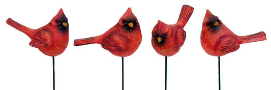 Cardinal Bird Pick