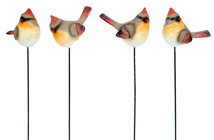 Cardinal Bird Pick