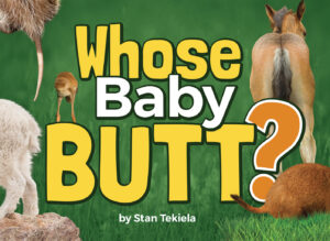 Whose Books